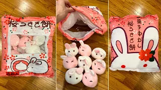 Great Easter Gift!! Kawaii bunny sakura Japanese mochi plushies in a pillow!