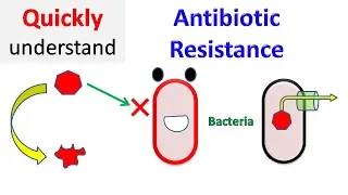 Antibiotic resistance