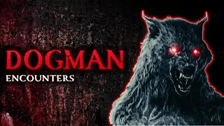 35 SCARY STORIES OF DOGMAN ENCOUNTERS