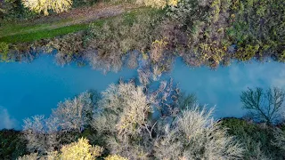 Une partie de stalking en rivière ~ Pêche de la carpe