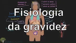 Fisiologia da gravidez I | Vida e evolução | Khan Academy