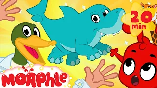 Super Hero Morphle's Crazy Animal Mixer! Shark Mixed with Elephant, Lion + cat and more Kids Video