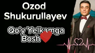 Ozod Shukurullayev - Qo'y Yelkamga Bosh (audio version 2023) #ozodshukurullayev #shukurullayev