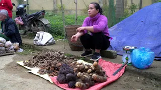 Agricultural Harvest ( Ginger, Turmeric, Tuber ) Goes to the market sell | Lý Thị Ca