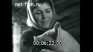 Совхоз «Клёново-Чегодаево», Подольский район (1962 г.)