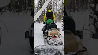 Тайга Варяг 550V, ищем лес,измеряем глубину снега!))