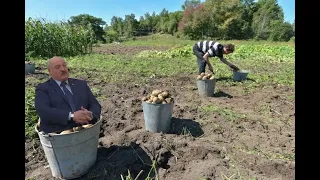 Лукашенко мем | Секретное видео армии рф перед нападением на Украину!