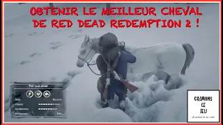 Obtenir le meilleur cheval du jeu-Tuto-Red Dead Redemption 2-Calmons Le Jeu