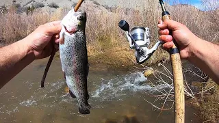 This Spot is LOADED!! River Trout Fishing Catch & Cook!!