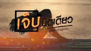 เจ็บนิดเดียว - นิตยา บุญสูงเนิน [Lyrics Version]