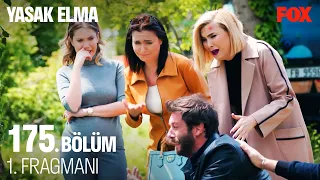 Yasak Elma 175. Bölüm 1. Fragmanı