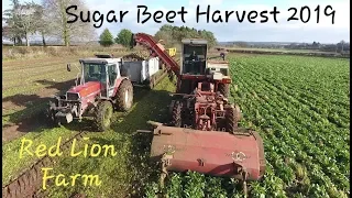 Sugar Beet Harvest 2019 | Red Lion Farm