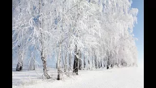 ПОЕЗІЯ. Одинокість. Віктор Остроух/Юлія Мельник