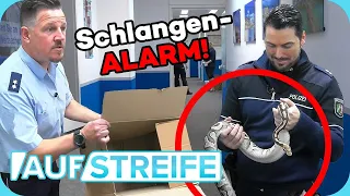 Panik auf dem Revier 🐍 „Hilfe, wo ist die SCHLANGE?!“ | Auf Streife | SAT.1