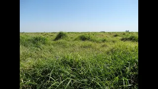 Capítulo 6 - Los Profesionales del Agro