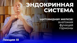 Эндокринная система. Лекция 3. Щитовидная железа