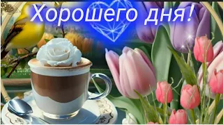 Я тебе желаю... ПОЖЕЛАНИЯ ОТ СЕРДЦА ДОРОГОМУ ЧЕЛОВЕКУ #доброеутро ☀️ ХОРОШЕГО ДНЯ! 🌈🕊💫🐞☕