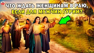 ЧТО АЛЛАХ ПРИГОТОВИЛ В РАЮ ДЛЯ ЖЕНЩИН? ДЛЯ МУЖЧИН РАЙСКИЕ ГУРИИ А ДЛЯ ЖЕНЩИН?