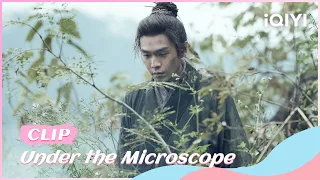🔬JiaMo Embarrasses the Court Officials | Under the Microscope EP03 | iQIYI Romance