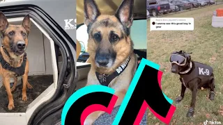 The Most Coolest k9 Police Dog TikTok Compilation | Dogs Of TikTok