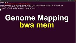 BWA MEM Tutorial | Genome Mapping with BWA Illumina  Paired End Reads ShortClip