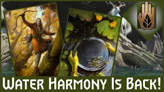 Is Call of Harmony the Way Now? (Gwent Scoia'tael Deck)