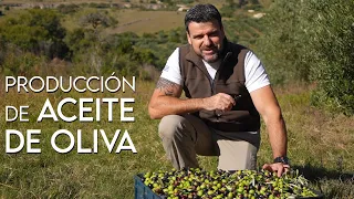 Producción de ACEITE DE OLIVA (URU)