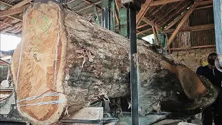 Kayu jati terbesar & mengerikan dari desa penari banyuwangi digergaji sawmill