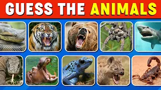 🦁Guess The Animals in 3 Seconds | Easy, Medium, Hard, Impossible🐯