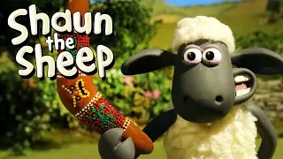 Return to Sender | Shaun the Sheep Season 5 | Full Episode