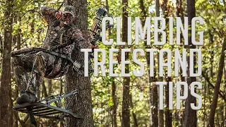 4 Climbing Tree Stand Tips