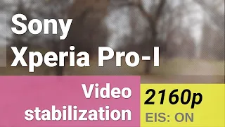 4K 2160p 30fps (ultrawide camera) - Sony Xperia Pro-I video stabilization sample