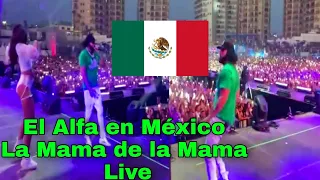 ¡Viral! CONCIERTO de EL ALFA EL JEFE  en MÉXICO (LA MAMA DE LA MAMA) Live