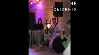 THE CRICKETS - Logical Song by Supertramp - cover LIVE