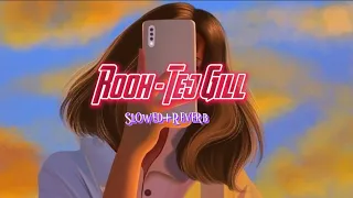 Rooh - Tej Gill [Slowed+Reverb] Lo-Fi Music || Sad Boy Music🎤