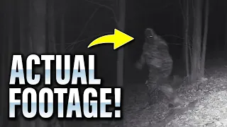 Most SHOCKING Trail Cam Captures Ever Recorded