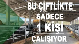 Bu Çiftlikte Sadece 1 Kişi Çalışıyor!