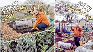 No dig Planting and an amazing Bean Structure!