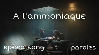 PNL - A l’ammoniaque (speed song + paroles)