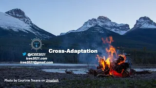 VEE - Cross Adaptation Across Environments