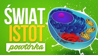 Świat Istot - zwierzęta, grzyby, rośliny, prokariota, protista, cały świat! - Powtórka z biologii