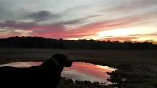 Sunset Walk at Scorton Creek, Cape Cod