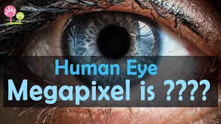What Is The Resolution Of The Human Eye In Megapixels?