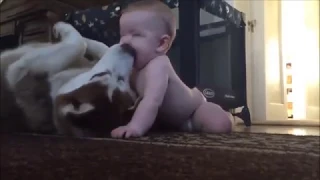 Дети и собаки лучшие друзья.  Children and Dogs, the best video