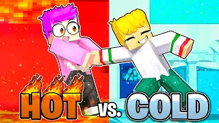 LankyBox HOT vs. COLD CHALLENGE In MINECRAFT! (ft. ELSA, MIRACULOUS LADYBUG, MARIO, & MORE!)