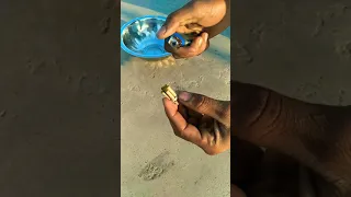 water bomb and कटोरा,,
