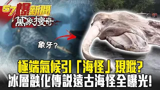 極端氣候引「海怪」現蹤？！ 印尼驚見長毛巨牙魚怪？ 冰層融化傳說遠古海怪全曝光！- 馬西屏【57爆新聞 萬象搜奇】