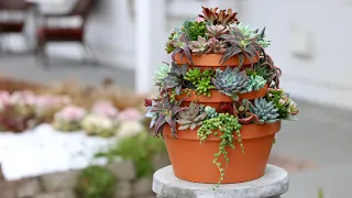 Succulent Tower 🌿// Garden Answer