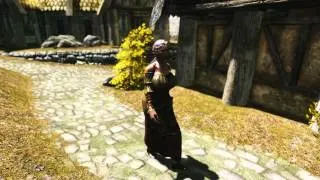 Skyrim - Boobs Test 2