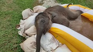 Pyi Mai and her new pool - EleFlix